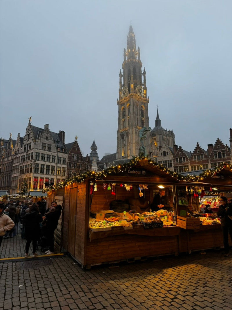 sfeerbeeld kathedraal van antwerpen
